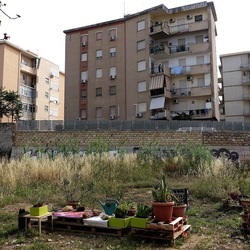 ZISA. Fotografie di Giulio Azzarello &copy;2023.