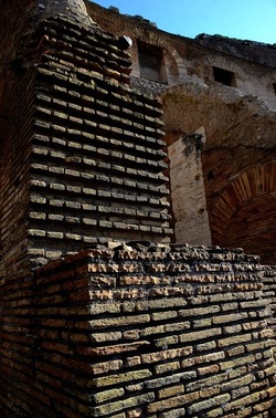 COLOSSEO Roma. Fotografie di Giulio Azzarello ©2020. COLOSSEO Roma. Fotografie di Giulio Azzarello ©2020.