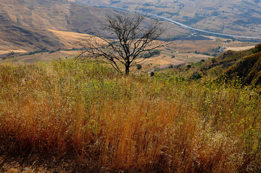 POLIZZI GENEROSA in Sicilia. Fotografie di Giulio Azzarello ©2014. POLIZZI GENEROSA in Sicilia. Fotografie di Giulio Azzarello ©2014.