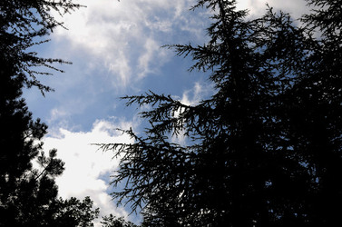 IL PARCO DELLE MADONIE da Polizzi Generosa in Sicilia. Fotografie di Giulio Azzarello &copy;2014.