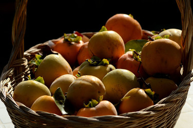 LOTI siciliani coltivati in modo biologico. Fotografie di Giulio Azzarello ©2014. LOTI siciliani coltivati in modo biologico. Fotografie di Giulio Azzarello ©2014.