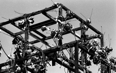 BIANCO NERO. Fotografie di Giulio Azzarello ©2021. BIANCO NERO. Fotografie di Giulio Azzarello ©2021.