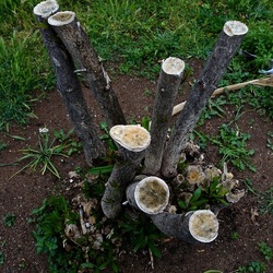 TRONCHI. Fotografie di Giulio Azzarello ©2022.