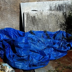 OSSERVAZIONI. Fotografie di Giulio Azzarello ©2022. OSSERVAZIONI. Fotografie di Giulio Azzarello ©2022.