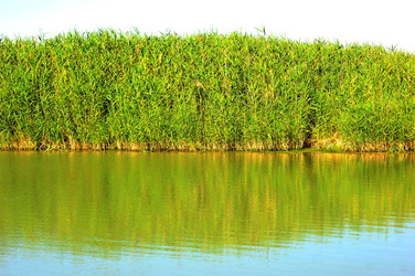 CANNETI in SICILIA. Fotografie di Giulio Azzarello &copy;2016.