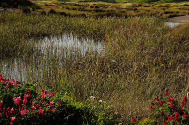 PAESAGGIO SICILIANO nel luogo delle macalube in Sicilia. Fotografie di Giulio Azzarello &copy;2014.