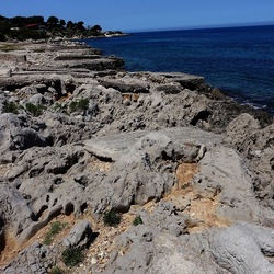 BAIA DEL CORALLO. Fotografie di Giulio Azzarello &copy;2022.