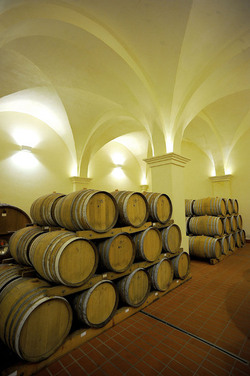 BOTTI per il vino. Fotografie di Giulio Azzarello ©2016. BOTTI per il vino. Fotografie di Giulio Azzarello ©2016.