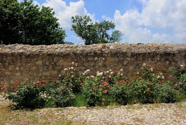 VIGNETO AGRITURISTICO PLANETA a Sambuca di Sicilia. Fotografie di Giulio Azzarello &copy;2014.
