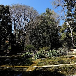ORTO BOTANICO DI PALERMO. Fotografie di Giulio Azzarello ©2022. ORTO BOTANICO DI PALERMO. Fotografie di Giulio Azzarello ©2022.