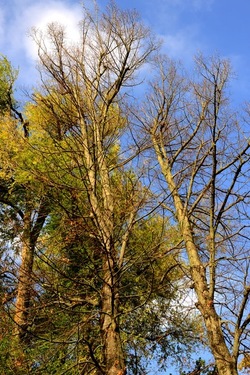 VENEZIA Giardini della Biennale di Arch. Cont.. Fotografie di Giulio Azzarello ©2022.