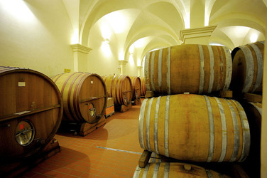 BOTTI per il vino. Fotografie di Giulio Azzarello ©2016. BOTTI per il vino. Fotografie di Giulio Azzarello ©2016.