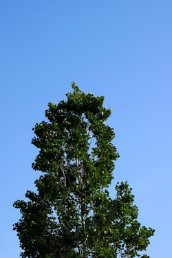 MONDELLO. Fotografie di Giulio Azzarello &copy;2023.