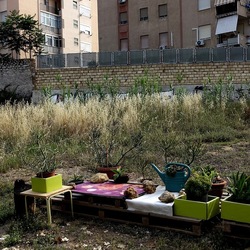 ZISA. Fotografie di Giulio Azzarello &copy;2023.