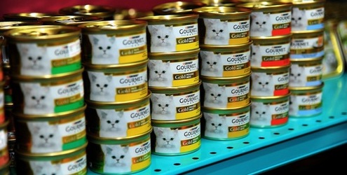 NEGOZIO di ANIMALI. Fotografie di Giulio Azzarello ©2018. NEGOZIO di ANIMALI. Fotografie di Giulio Azzarello ©2018.