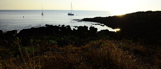 ISOLA DI USTICA la costa. Fotografie di Giulio Azzarello &copy;2016.