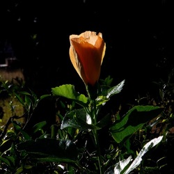 AUTUNNO fotografie di Giulio Azzarello ©2021. AUTUNNO fotografie di Giulio Azzarello ©2021.