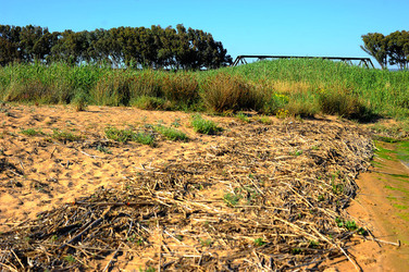 CANNETI in SICILIA. Fotografie di Giulio Azzarello &copy;2016.