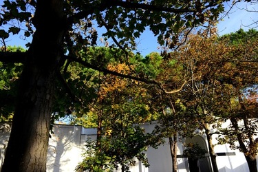 VENEZIA Giardini della Biennale di Arch. Cont.. Fotografie di Giulio Azzarello ©2022.