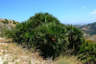 SEGESTA in Sicilia sito archeologico. Fotografie di Giulio Azzarello ©2014.