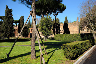 LE TERME DI CARACALLA a Roma visioni panoramiche o particolari. Fotografie di Giulio Azzarello &copy;2014.
