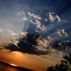 CAMPEGGIO fotografie di Giulio Azzarello ©2019. CAMPEGGIO fotografie di Giulio Azzarello ©2019.