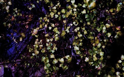 PALERMO fotografie di Giulio Azzarello ©2020.