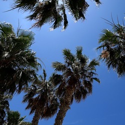 SAN VITO LO CAPO. Fotografie di Giulio Azzarello &copy;2023.