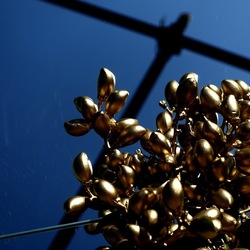 SPECCHIATI. Fotografia di Giulio Azzarello ©2023. SPECCHIATI. Fotografia di Giulio Azzarello ©2023.