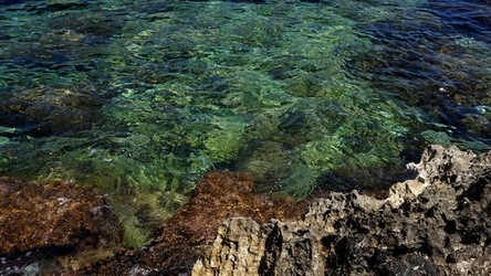 BAIA DEL CORALLO. Fotografie di Giulio Azzarello &copy;2022.