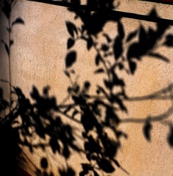 OMBRE di agosto. Fotografie di Giulio Azzarello &copy;2018.