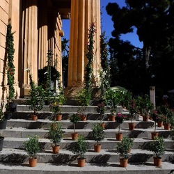 ORTO BOTANICO di PALERMO. Fotografie di Giulio Azzarello ©2019.