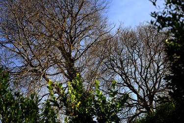 CAMPAGNA fotografie di Giulio Azzarello ©2020.