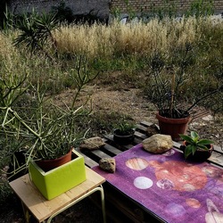 ZISA. Fotografie di Giulio Azzarello &copy;2023.