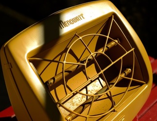 NATURE MORTE DIPINTE fotografie di Giulio Azzarello &copy;2022.