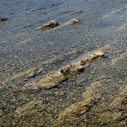TRAPANI. Fotografie di Giulio Azzarello ©2022.