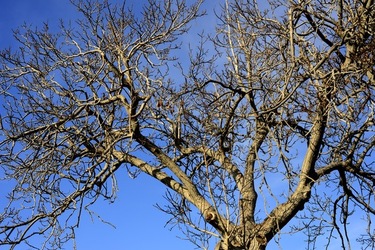 CAMPAGNA fotografie di Giulio Azzarello ©2020.