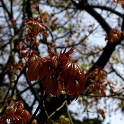 ORTO BOTANICO. Fotografie di Giulio Azzarello &copy;2024.