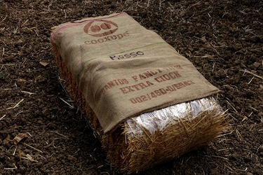 ULIVETO SICILIANO. Fotografie di Giulio Azzarello ©2022.