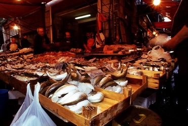 VUCCIRIA anni 90. Fotografie di Giulio Azzarello ©2022.