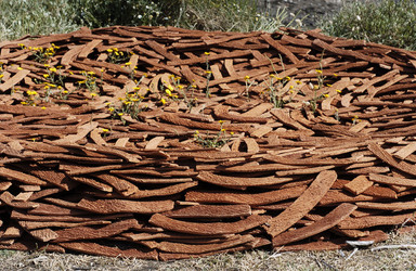 ARTE CONTEMPORANEA A PIRGI sito e riserva archeologica. Fotografie di Giulio Azzarello &copy;2014.