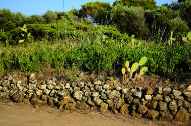 ISOLA DI USTICA pietre. Fotografie di Giulio Azzarello &copy;2016.