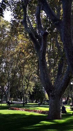 ROMA fotografie di Giulio Azzarello &copy;2022.