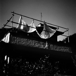ROSE fotografie di Giulio Azzarello ©2021. ROSE fotografie di Giulio Azzarello ©2021.