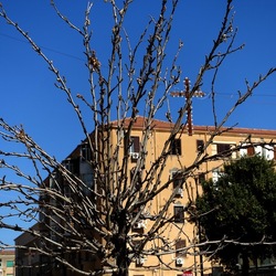 Arabo Normanno. Fotografie di Giulio Azzarello ©2024. Arabo Normanno. Fotografie di Giulio Azzarello ©2024.