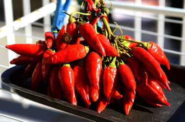 PEPERONCINO fotografie di Giulio Azzarello ©2014. PEPERONCINO fotografie di Giulio Azzarello ©2014.