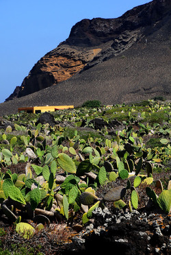 ISOLA DI LINOSA panoramiche e particolari. Fotografie di Giulio Azzarello &copy;2014.