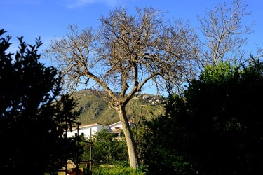CAMPAGNA fotografie di Giulio Azzarello ©2020.