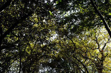 GIARDINI della BIENNALE a Venezia. Foto di Giulio Azzarello &copy;2015 2016.