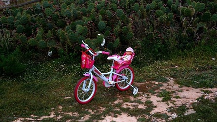 TERRASINI. Fotografie di Giulio Azzarello &copy;2022.